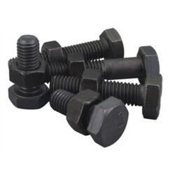 Hex Head Nuts